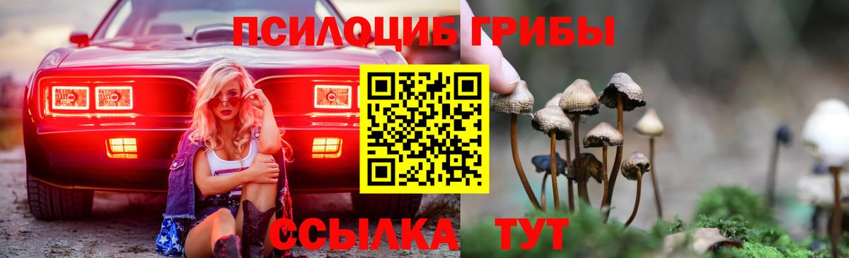 Галлюциногенные грибы MAGIC MUSHROOMS Рассказово