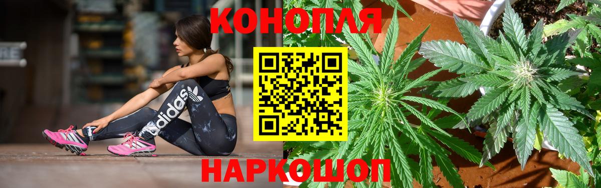 Канабис индика  Вход с VPN  МАРИХУАНА конопля  Рассказово  Шишки марихуана White Widow 